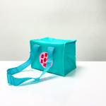 Reusable Green Cooler Bag Small Size, Square Shape, with Zipper – K020