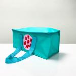 Reusable Green Cooler Bag, Small size, Rectangular shape with Zipper – K019