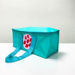 Reusable Green Cooler Bag, Small size, Rectangular shape with Zipper – K019