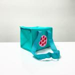Reusable Green Cooler Bag Small Size, Square Shape, with Zipper – K020
