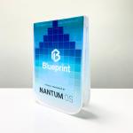 PP Non-Woven Blue Reusable Shopping Bag with Branding Print – K021