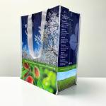 PP Woven Reusable Shopping Bag with Farm Style Design – K011