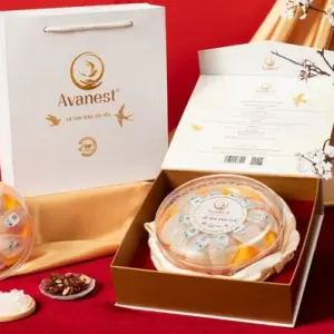 Yến đảo tinh chế Avanest [AVA PLUS - TỔ YẾN ĐỊNH HÌNH A5]