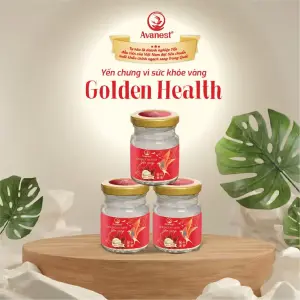 Avanest Golden Health Yến Vàng
