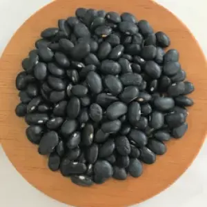 Đậu đen