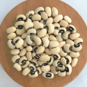 Đậu trắng hạt