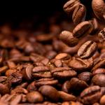 100% hạt cà phê rang tự nhiên Nước uống có mùi hương tốt Iso Brc Haccp Halal Bao bì tùy chỉnh Nhà sản xuất Việt Nam