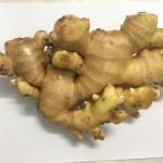 100% Gừng tự nhiên Tổng hợp Gừng tươi Tóc giả Bạc Gừng Hũ Gừng Gừng tươi Máy xay gừng PVC Ginger Box Việt Nam