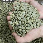 Arabica Raw Coffee Beans Chất Lượng Thô Uống Cao ISO220002018 60 kg/bao đay Nhà sản xuất Made in Vietnam