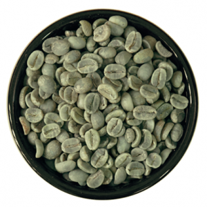 Arabica Raw Coffee Beans Chất Lượng Thô Uống Cao ISO220002018 60 kg/bao đay Nhà sản xuất Made in Vietnam