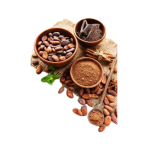 Kem bơ ca cao Chất lượng tốt nhất Bán buôn nguyên liệu tươi Hộp carton Bao bì gỗ sản xuất tại Việt Nam