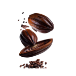 Kem bơ ca cao Nguyên liệu tươi Chất lượng tốt nhất Bán buôn hộp carton Bao bì gỗ đến từ nhà sản xuất Việt Nam