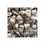 Yến sào giao hàng nhanh Yến sào tươi mát tự nhiên chống mệt mỏi Trẻ sơ sinh nhiệt độ phòng từ nhà sản xuất Việt Nam