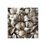 Yến sào giao hàng nhanh Yến sào tươi mát tự nhiên chống mệt mỏi Trẻ sơ sinh nhiệt độ phòng từ nhà sản xuất Việt Nam