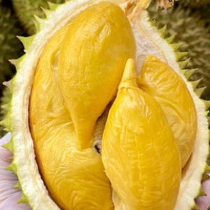 Sầu riêng tươi Việt Nam chất lượng cao để xuất khẩu sầu riêng tươi - nhà cung cấp tại Việt Nam