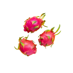 Thanh long ruột trắng tươi bán chạy ngọt tự nhiên sử dụng cho thực phẩm chất lượng tốt Đóng gói trong thùng carton Việt Nam Nhà sản xuất