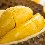 Sầu riêng tươi cao cấp D101 (trái cây tươi) được nhiều người yêu thích sầu riêng và trẻ em ưa chuộng