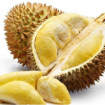 Sầu riêng tươi cao cấp D101 (trái cây tươi) được nhiều người yêu thích sầu riêng và trẻ em ưa chuộng