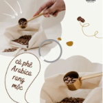 Hạt cà phê rang đậm Arabica rang chất lượng cao Quy trình rửa 95% Trưởng thành Cầu Đất Farm Highland Vietnam